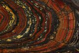 Polished Tiger Iron Stromatolite - Billion Years #129336-1